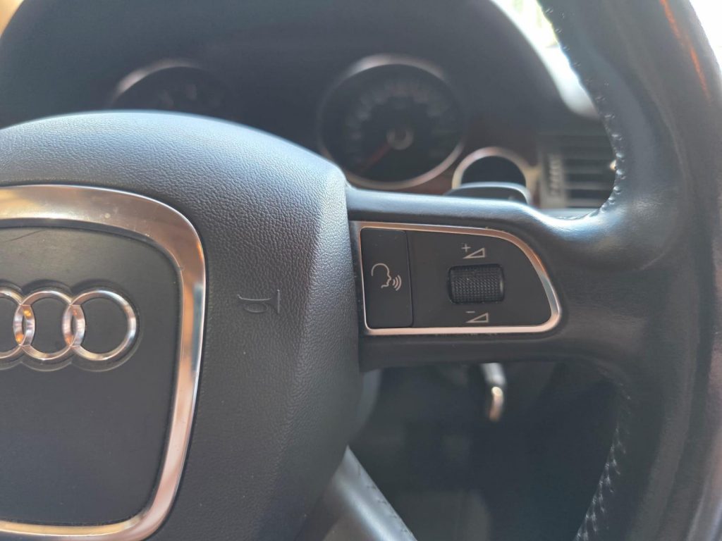 Audi 10